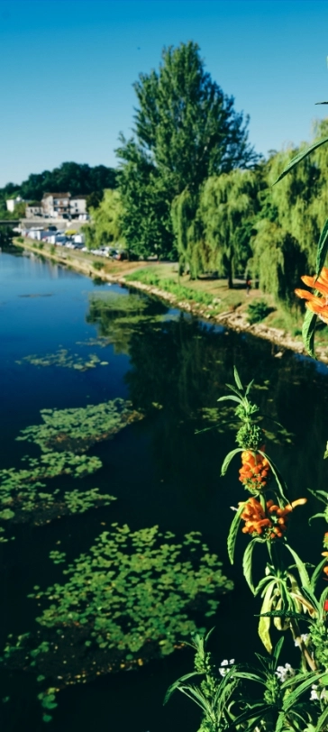 camping proche perigueux 