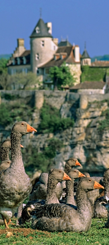 tourisme dordogne